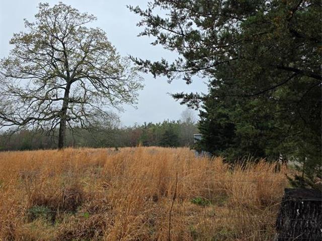 Land for sale in Lamar, Texas