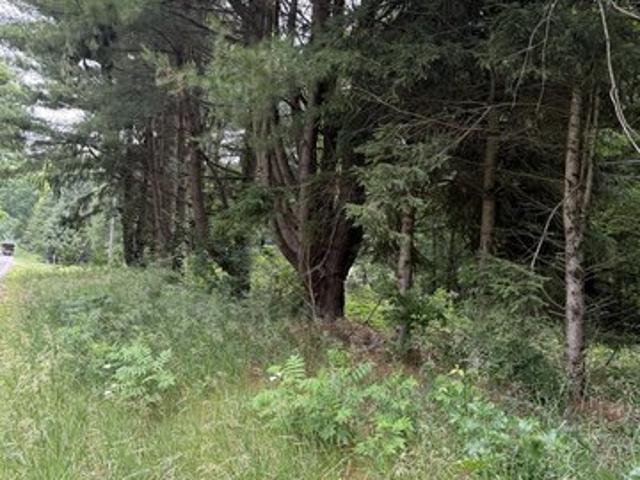 Land for sale in Michigan