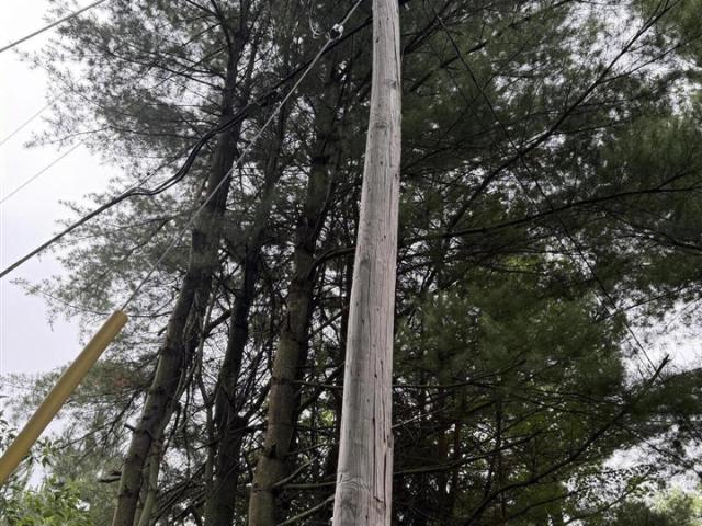 Land for sale in Pierson Township, Montcalm County