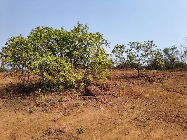 Land for sale in Ratnagiri, National Capital Territory Of Delhi