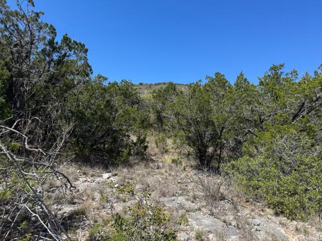 Land for sale in Uvalde, Texas