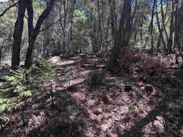 Land for sale in California