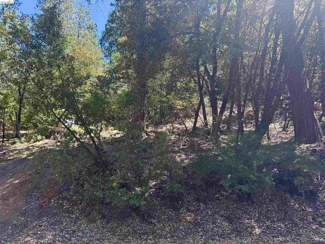 Land for sale in California