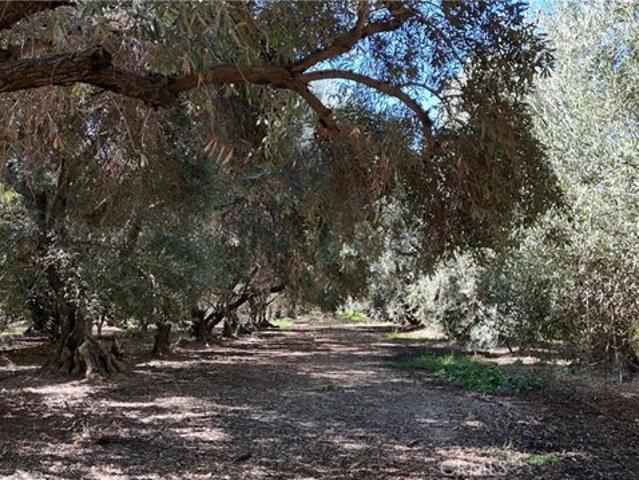 House for sale in Corning, California