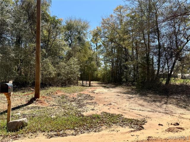 Farm for sale in Geneva, Alabama