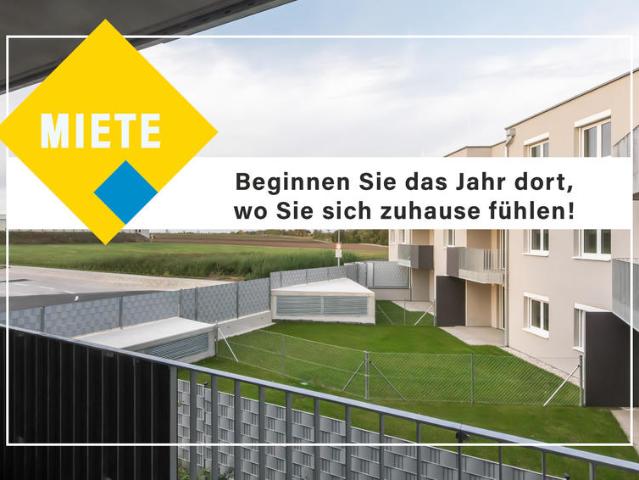 Wohnung mieten in Lanzendorf, Niederösterreich