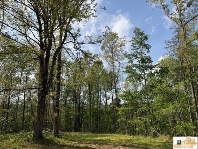 Land for sale in Horse Cave, Kentucky