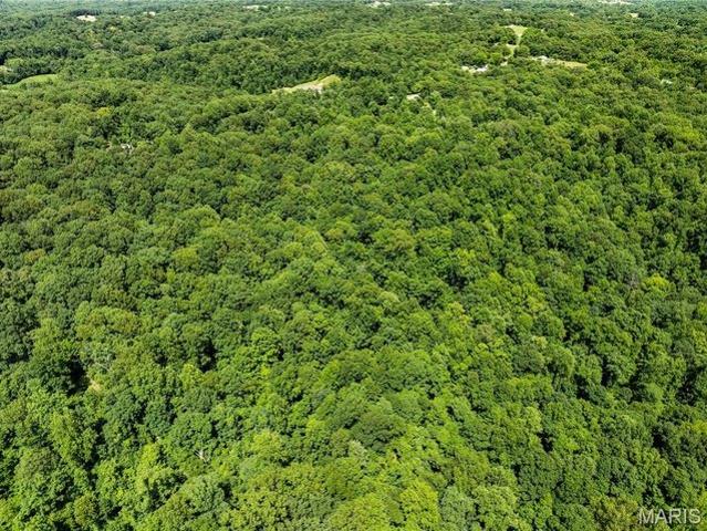 Land for sale in Chaffee, Missouri