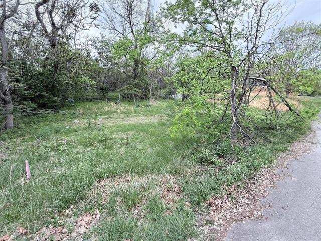 Land for sale in Adolphus, Kentucky
