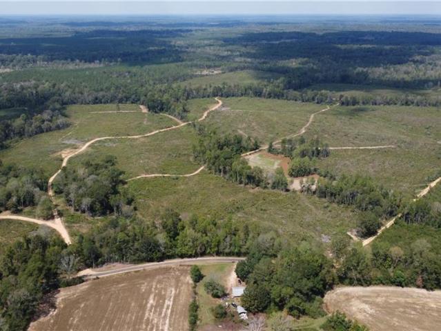 Land for sale in Franklinton, Louisiana