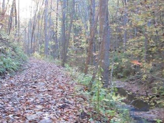 Land for sale in Gilmer, Georgia