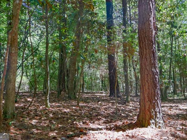 Land for sale in Cochran, Georgia