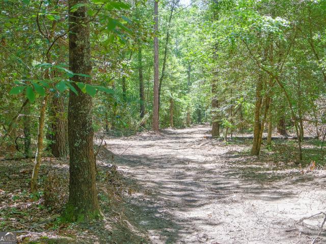 Land for sale in Cochran, Georgia