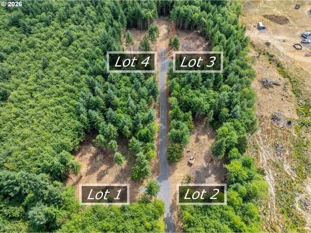 Land for sale in Castle Rock, Washington