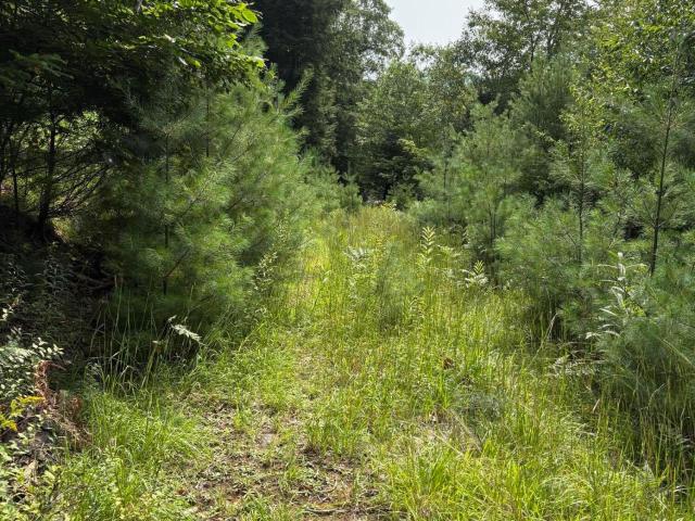 Land for sale in Saratoga, New York