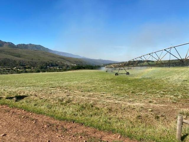Farm for sale in Kareedouw, Eastern Cape