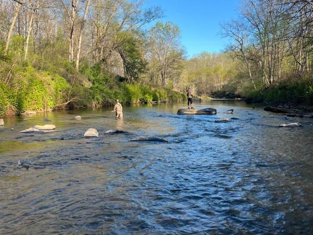 Farm for sale in Madison County, Virginia
