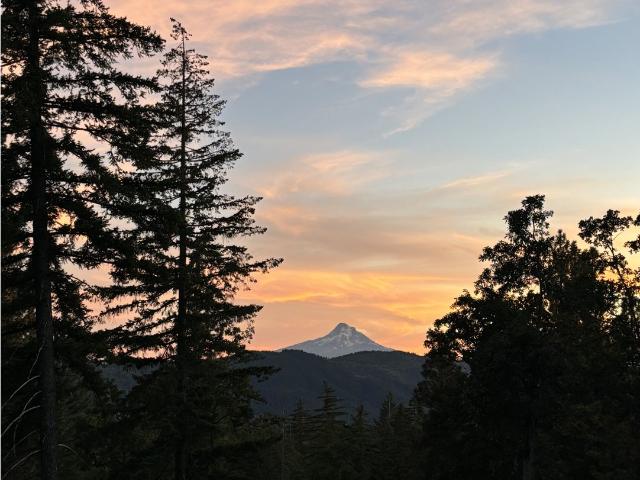 House for sale in White Salmon, Klickitat County
