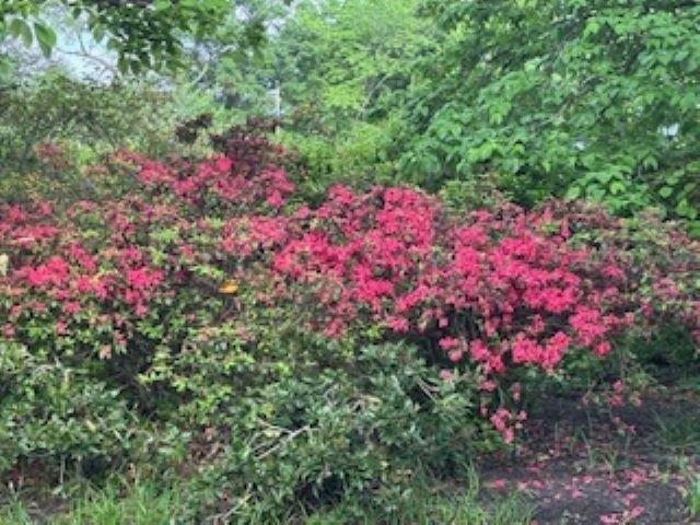 Condo for sale in Tennessee