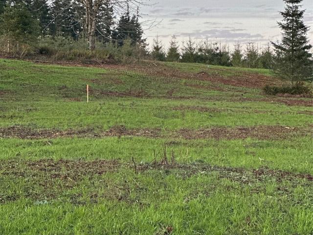 Land for sale in Washington