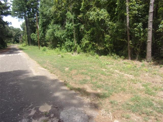 Land for sale in Ben Wheeler, Texas