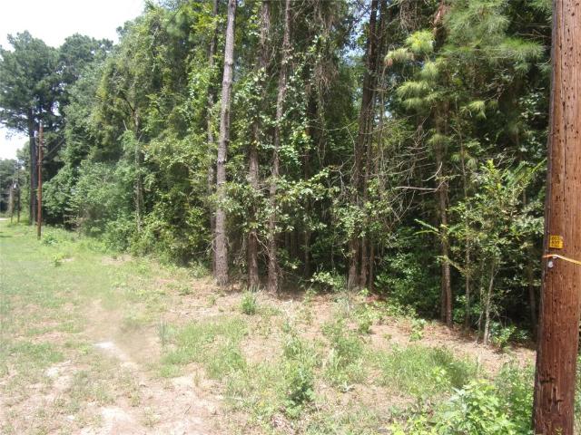 Property for sale in Ben Wheeler, Texas