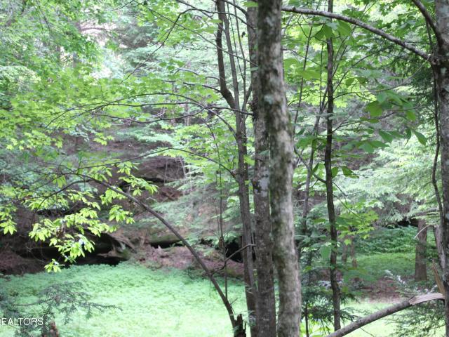 Land for sale in Tennessee