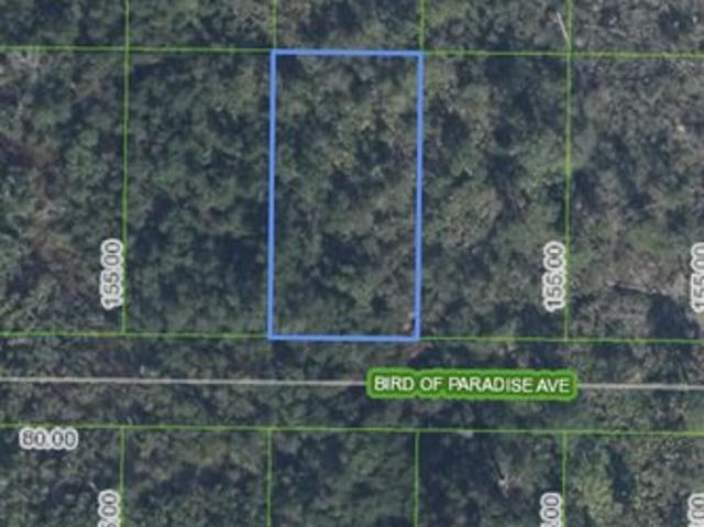 Land for sale in Sebring, Florida