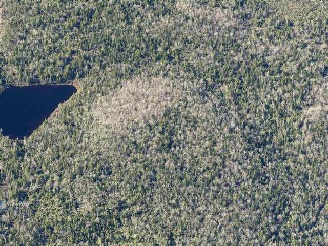 Land for sale in Harrietsfield, Nova Scotia