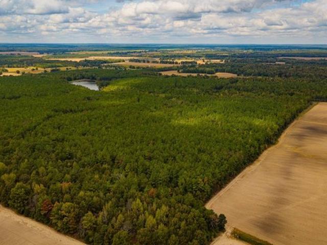 Land for sale in New Houlka, Chickasaw County