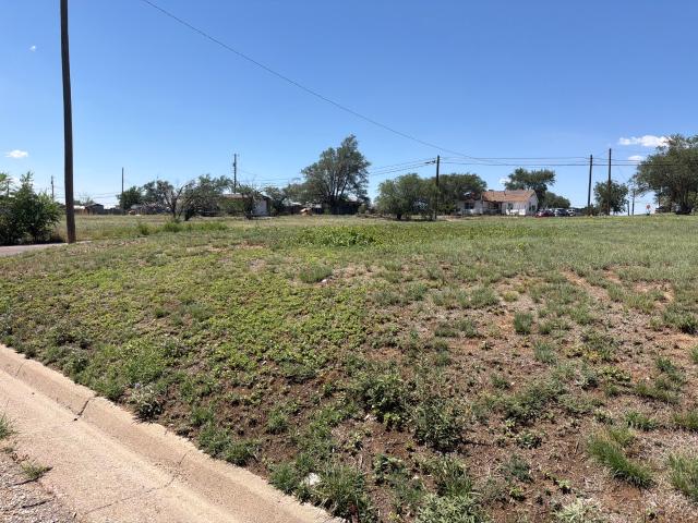 Land for sale in Potter, Texas