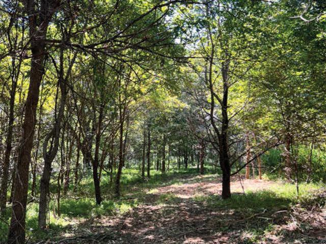 Property for sale in Chatham, North Carolina