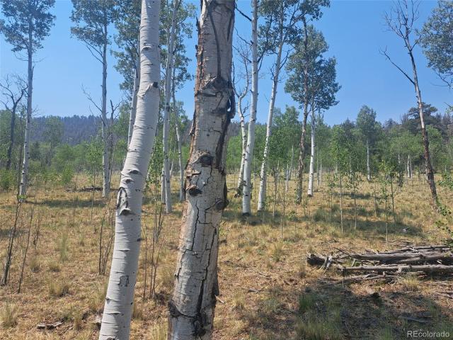 Land for sale in Hartsel, Colorado