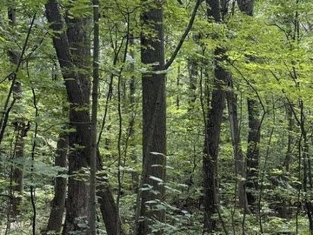 Land for sale in Bedford, Pennsylvania