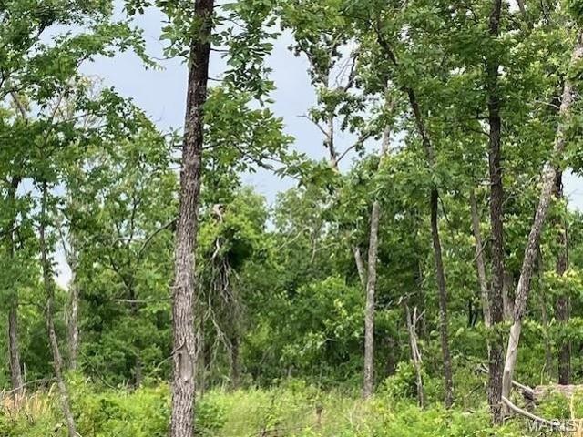 Land for sale in Fredericktown, Missouri