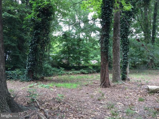 Land for sale in Chestertown, Maryland