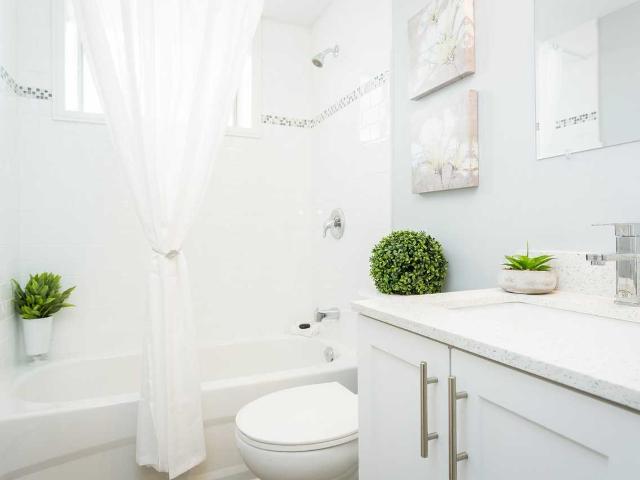 Apartment for rent in Ancaster, Ontario