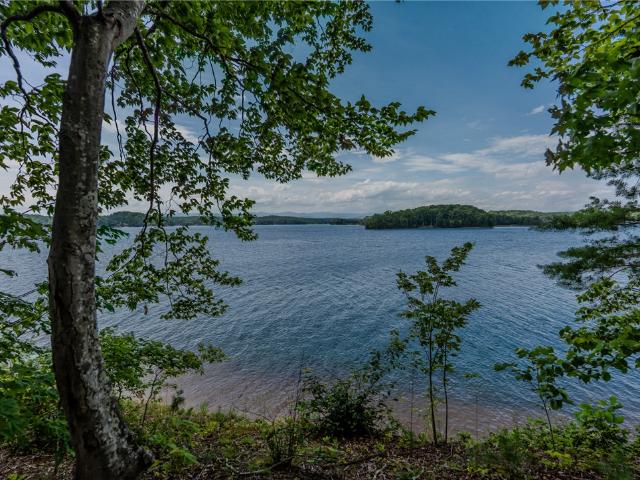 Land for sale in Six Mile Run, South Carolina