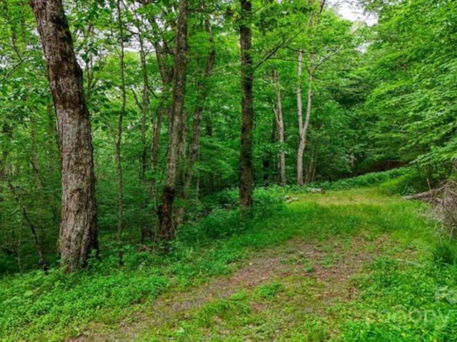 Land for sale in Watauga, North Carolina