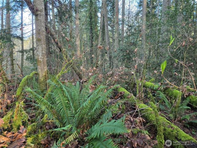 Land for sale in Poulsbo, Washington