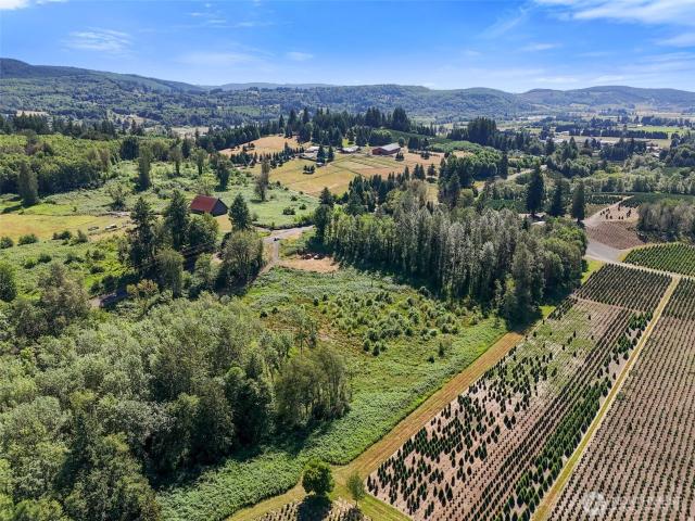 Land for sale in Mossyrock, Washington