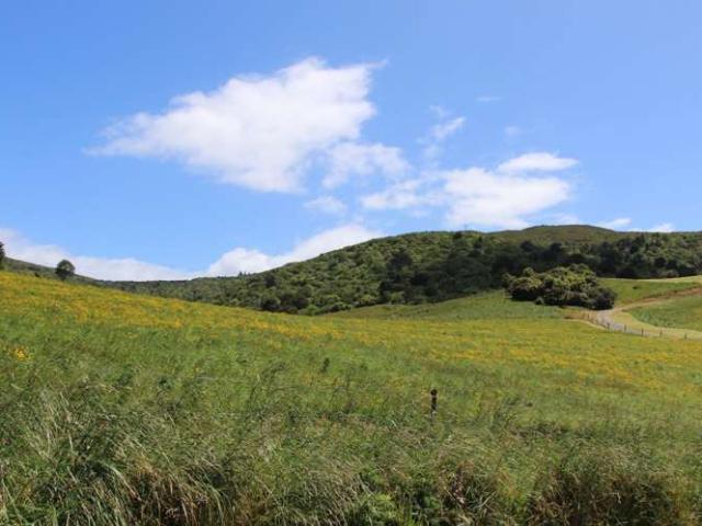 Property for sale in Otakou