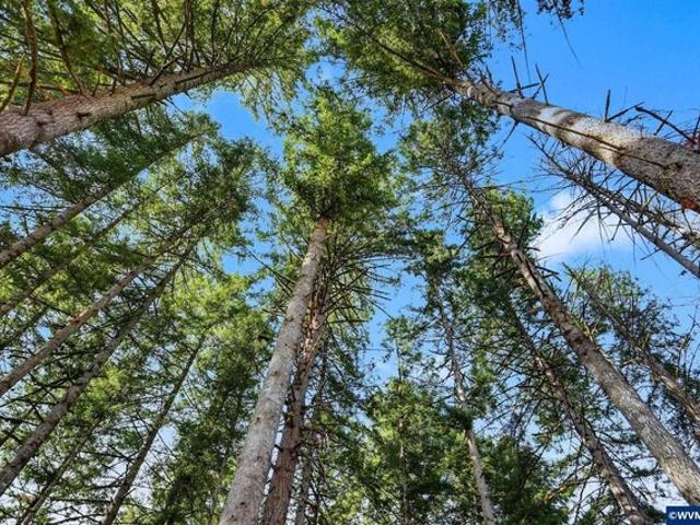 Land for sale in Lyons, Linn County