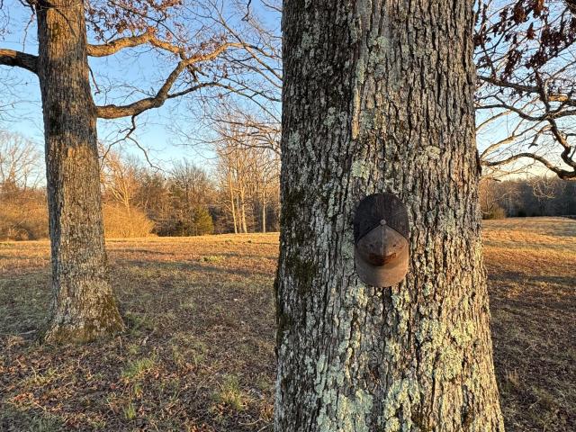 Land for sale in Tennessee