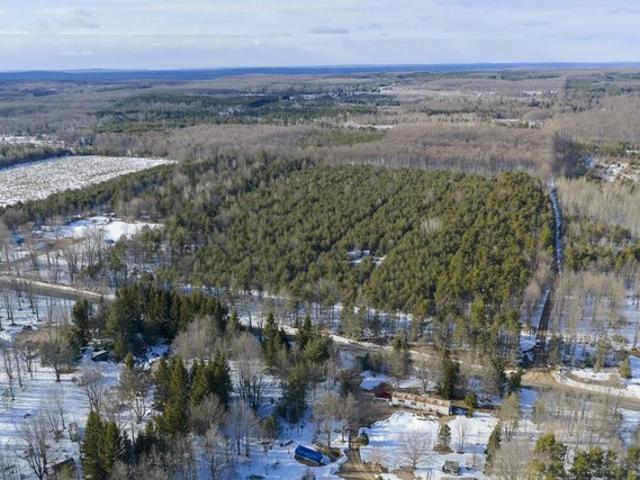 Land for sale in Copemish, Michigan