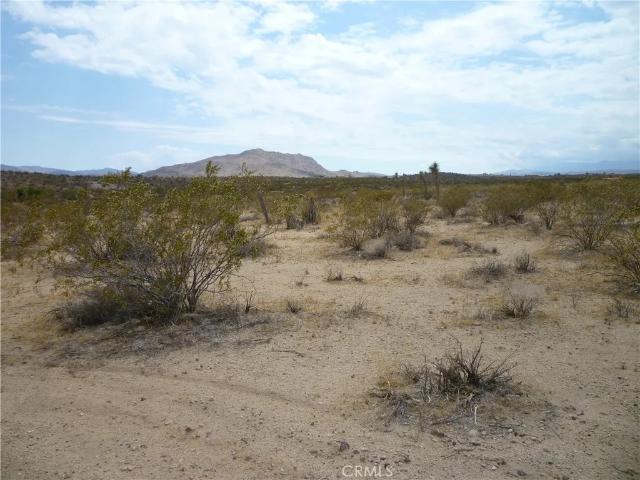 Land for sale in Joshua Tree, California
