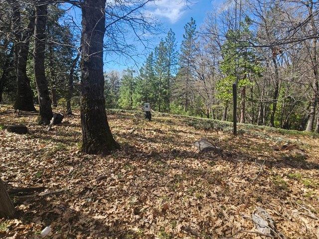 Land for sale in Sonora, California