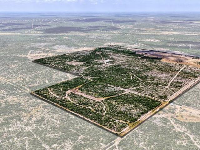 Farm for sale in Freer, Texas