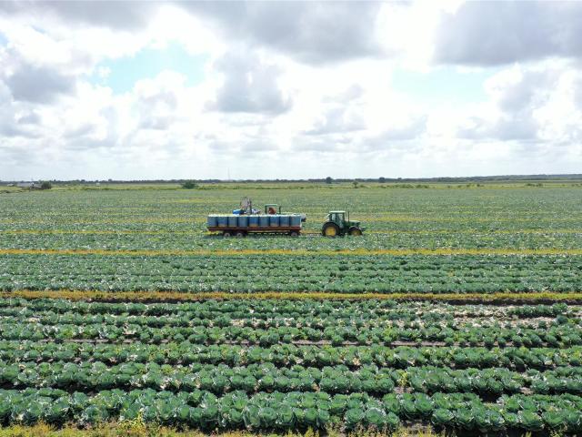 Land for sale in Okeechobee, Florida