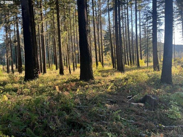 Land for sale in Lyons, Linn County